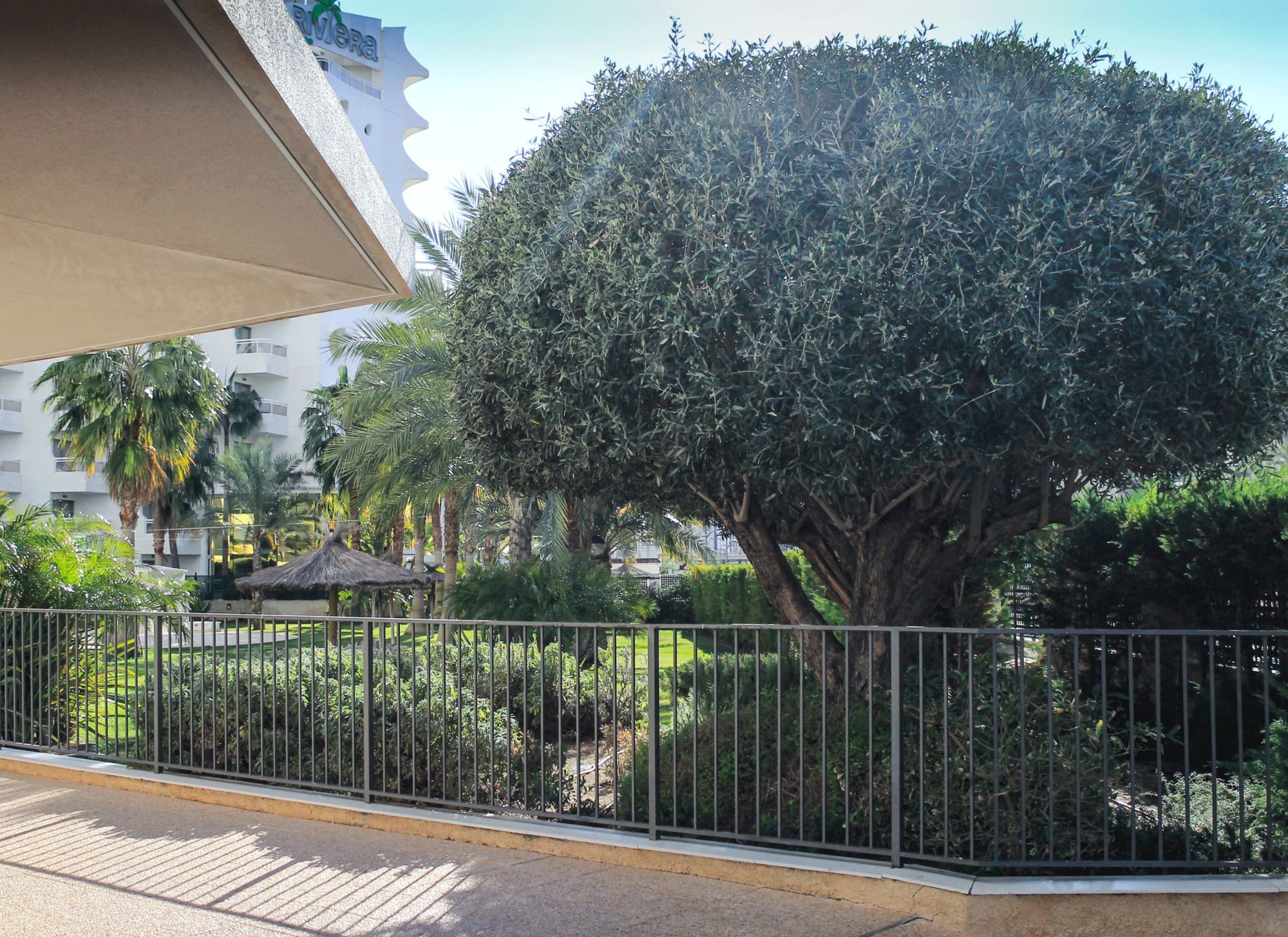 Apartamento Gema Gemelos 26 Benidorm Extérieur photo